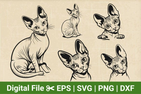 5 Peeking Cat SVG Bundle: A Designer’s Real-World Embroidery Review