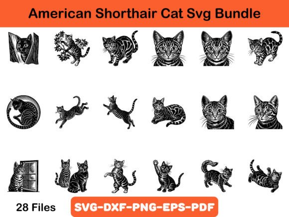 American Shorthair Cat SVG Bundle